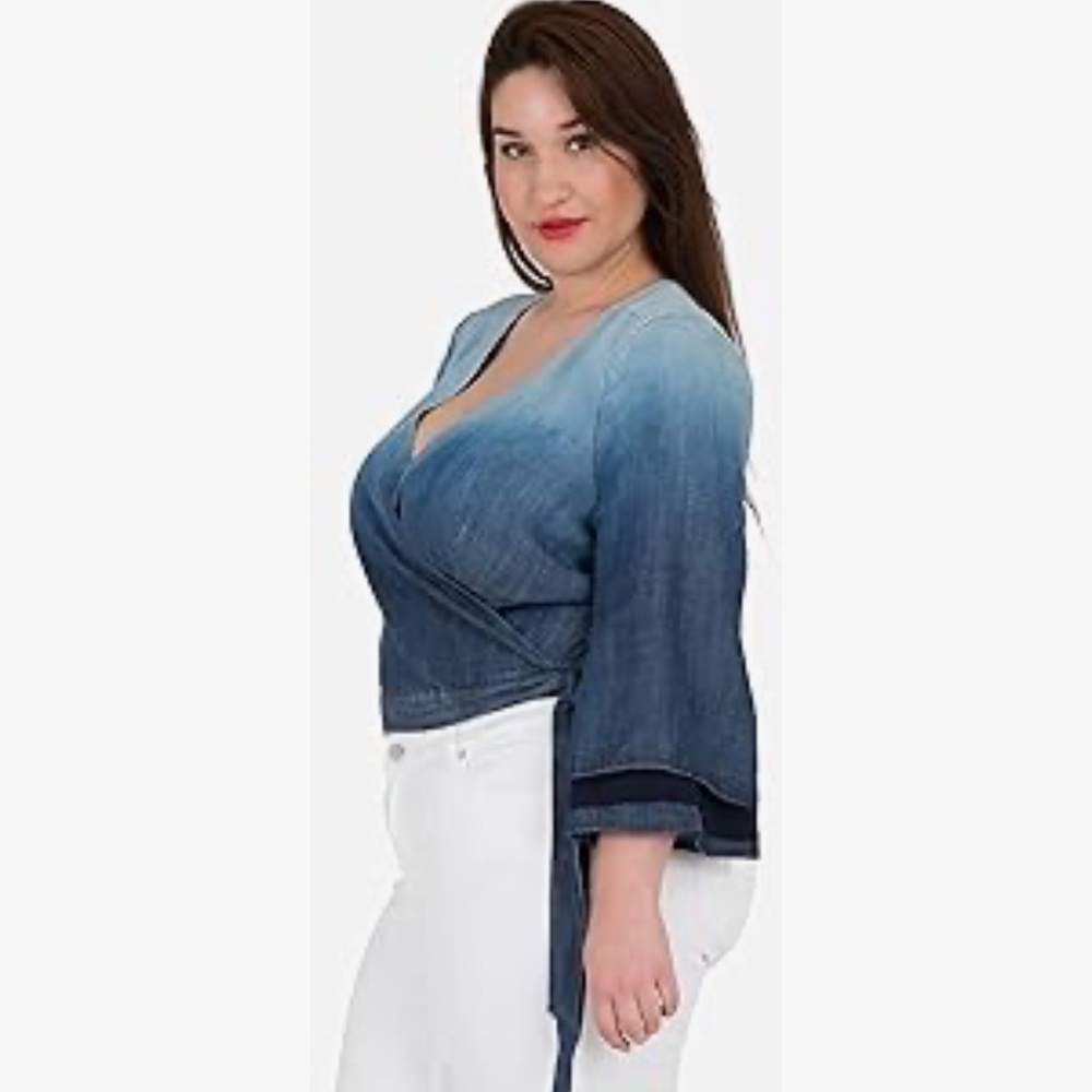 Standards & Practices Blue Ombre Chambray/Tencel … - image 3